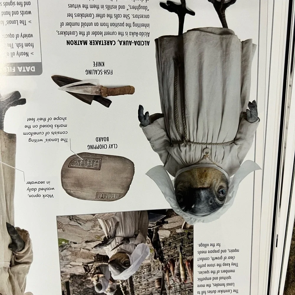 Star Wars The Last Jedi Visual Dictionary - Red and Black
